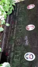 Захоронение ID 1286050