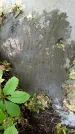 Захоронение ID 1286053