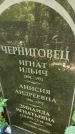 Захоронение ID 1286094