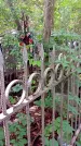 Захоронение ID 1286122