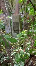 Захоронение ID 1286129
