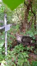 Захоронение ID 1286154