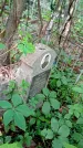 Захоронение ID 1286158