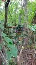 Захоронение ID 1286159