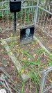 Захоронение ID 1286168