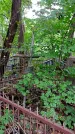 Захоронение ID 1286169