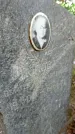 Захоронение ID 1286175