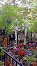 Захоронение ID 1286186