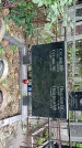 Захоронение ID 1286207
