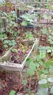 Захоронение ID 1286223