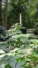 Захоронение ID 1286242