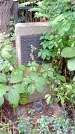 Захоронение ID 1286260