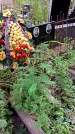 Захоронение ID 1286316