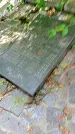 Захоронение ID 1286332
