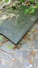 Захоронение ID 1286334