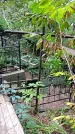 Захоронение ID 1286354
