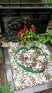 Захоронение ID 1286359