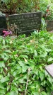 Захоронение ID 1286360