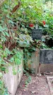 Захоронение ID 1286364