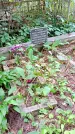 Захоронение ID 1286373