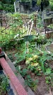 Захоронение ID 1286378