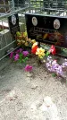Захоронение ID 1286388