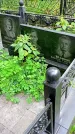 Захоронение ID 1286401