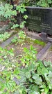 Захоронение ID 1286411
