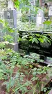 Захоронение ID 1286415
