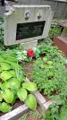 Захоронение ID 1286448