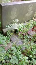 Захоронение ID 1286452