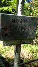 Захоронение ID 1286494