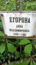 Захоронение ID 1286767