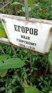Захоронение ID 1286768