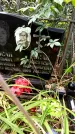 Захоронение ID 1286774