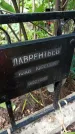 Захоронение ID 1286821