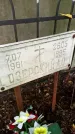 Захоронение ID 1286881
