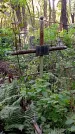 Захоронение ID 1287076