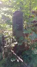 Захоронение ID 1287203