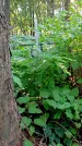 Захоронение ID 1287310