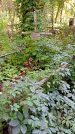 Захоронение ID 1287498