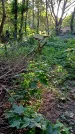 Захоронение ID 1287521