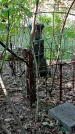Захоронение ID 1287679