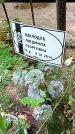 Захоронение ID 1287798
