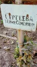 Захоронение ID 1287807