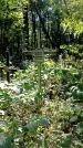 Захоронение ID 1287913