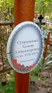 Захоронение ID 1287999