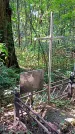 Захоронение ID 1288004