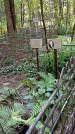 Захоронение ID 1288019