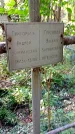 Захоронение ID 1288029